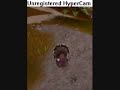 Runescape Give Thanks emote glitch Runescape Give Thanks emote glitch