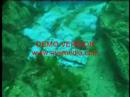 synthetic-sea-plastic-in-the-open-ocean.html