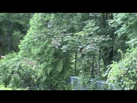 Sony DCR-SR47 Hard Drive Handycam Camcorder Test File 1