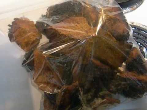 how to harvest chaga mushroom