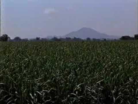 YouTube Трейлер