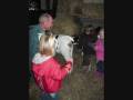 groep 1 beatrixschool 20-10-08