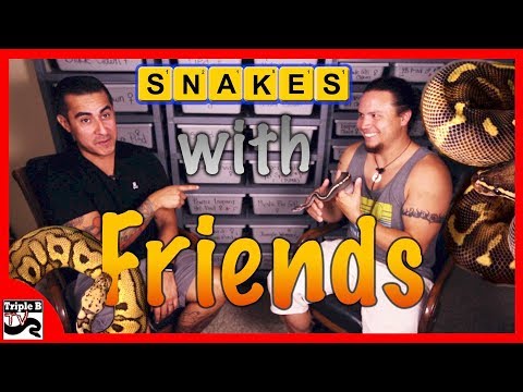 YouTube reptile video