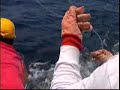 El Salvador marlin fishing onboard \"Sandy-ita\"