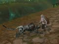 Aion - panthera morph Aion - panthera morph