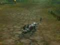 Aion - panthera morph