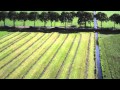 Bekijk video
