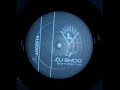 dj shog- tribute