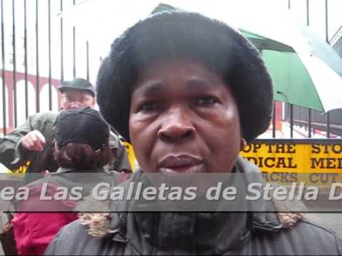 how to grow stella d'oro
