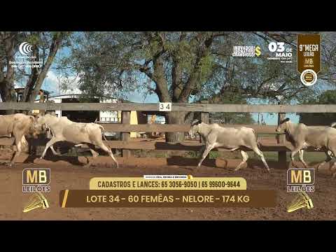 9� MEGA LEIL�O DA MB LEIL�ES