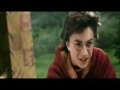 Harry Potter:Quidditch