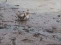 videos de 2002 Lake Travis Flood Claims 2 Lives