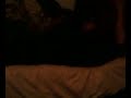 Mayas pig noice.3gp