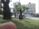 Clan TMT video de junio