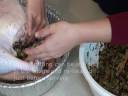 Gluten Free Recipes - Holiday Roast Turkey from Kimberly\