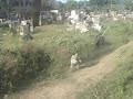Airsoft Paglaum Game 022507 Part 1