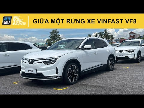 LẠC giữa một RỪNG xe VinFast VF8 |Autodaily.vn|