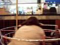 videos de 100_4677.mov
