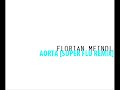 FLORIAN MEINDL / AORTA [SUPER FLU REMIX]