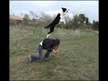 frisbee video