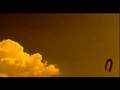 Cowboy de mediodía (Cortometraje)