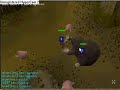 1515555 mole hunting