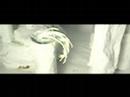 Bon Iver-Flume with my own fragile porcelain world-