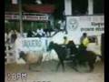 videos de Dilson Neto (1)