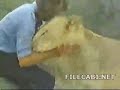 Leos encontram seus criadores