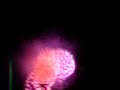 HANABI