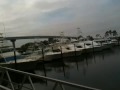 Gulf Shores