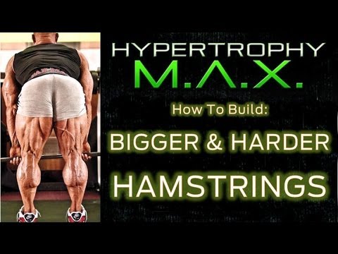 how to build hamstrings