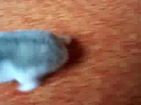 Jumping Mouse doesn't want in her cage