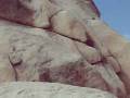 videos de hangin' out in joshua tree