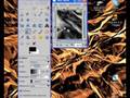 videos de Toturial gimp