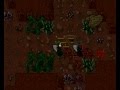 videos de Tibia - Balera - Kill Bots