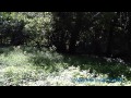 Watch 'Down to earth metal detecting with Lookin4seated and TreasureFiend'
