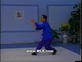 Xing Yi Chuan Twelve-Animals Xing Yi Chuan Twelve-Animals