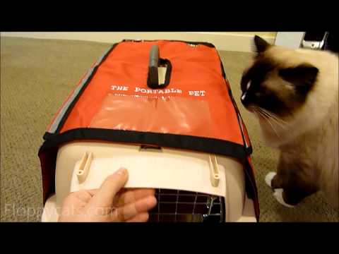 The Portable Pet Emergency Cat Kit Product Review 0 The Portable Pet Emergency Cat Kit Product Review