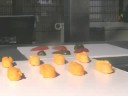 High Speed Pepper Picking High Speed Pepper Picking