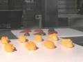 High Speed Pepper Picking