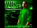 Sly,Slick N Wicked (Chopped & Screwed) Sly,Slick N Wicked (Chopped & Screwed)