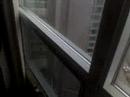 Embasy suites view
