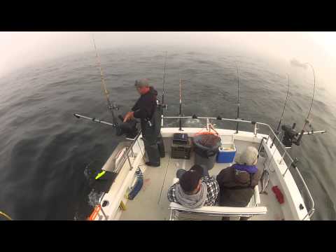 North Cal Sportfishing - Salmon fishing in Bodega Bay on