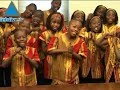 Les nouveaux ambassadeurs d\