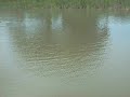 A LAGOA AZUL