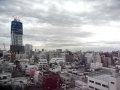 TOKYO SKY TREE(as NEW TOKYO TOWER)