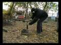 videos de Busse Skinny ASH1 - digging into hard wood