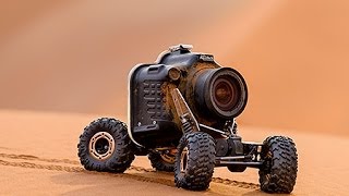 Un buggy radio-commandé va à la rencontre de lions