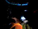 LA VIE AQUATIQUE BY MADGREGOR LA VIE AQUATIQUE BY MADGREGOR